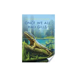 Once We All Had Gills | Rudolf A. Raff (ISBN: 9780253002358)