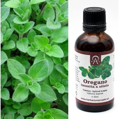 HerbariumProjekt.sk Oregano imunita a očista tinktúra 50 ml