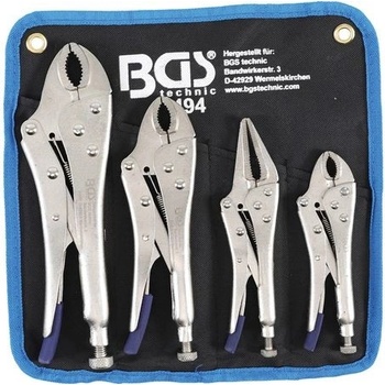 BGS 494