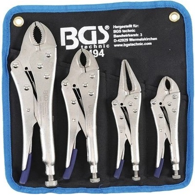 BGS 494