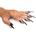 Master Series Clawed 5pc Sensation Play Rings Silver