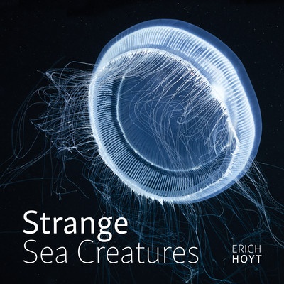 Strange Sea Creatures - Hoyt Erich