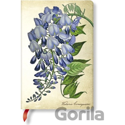 PAINTED BOTANICAL BLOOMING WISTERIA MINI UNLPevná vazba