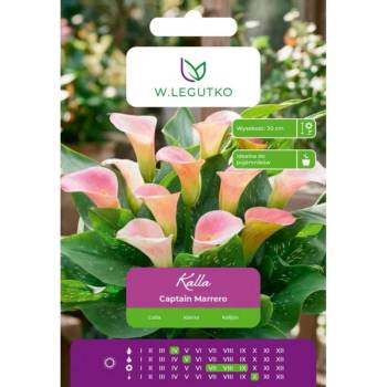Image 1 of W. Legutko Kalla Captain Marrero светлорозово 1 бр