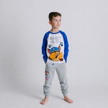 Eplus Chlapčenské tepláky Paw Patrol sivá