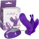 Seven Creations Flutter Butterfly