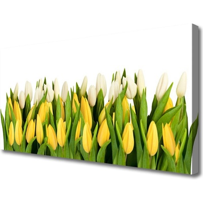 Obraz na plátne Tulipány kvety rastlina 100x50 cm