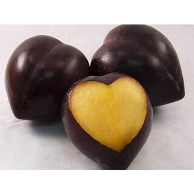 Slivkomarhuľa Flavor Heart, podpník myrobalán, voľnok.