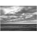 Tomahawk - Tonic Immobility LP
