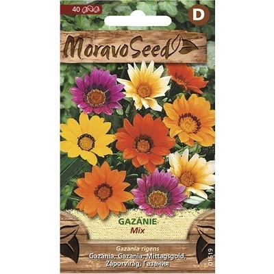 Gazánia žiarivá mix MoravoSeed