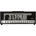 EVH 5150 Iconic 80W BK Black Лампов усилвател (2257406010)