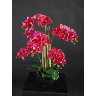 ILA Umělá rostlina Orchidej Phalaenopsis (70cm) - purpurová