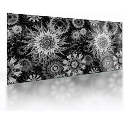 Sklenený obraz - Čiernobiele bodliaky, jednodielne 100x50 cm na skle