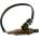 DELPHI Lambda sonda ES1035312B1