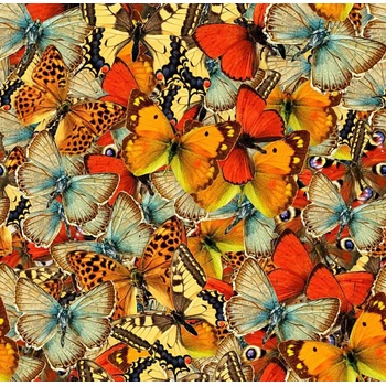 Grafika - Puzzle Butterflies Butterflies Butterflies! - 1 000 piese