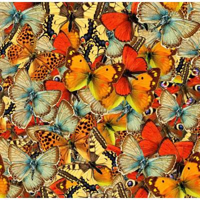 Grafika - Puzzle Butterflies Butterflies Butterflies! - 1 000 piese