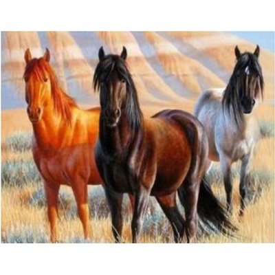 Vikpap 30 x 20 cm Arabský plnokrevník – Zboží Dáma