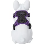 Freedog Boreal Harness Large - Регулируем нагръдник за кучета с вратна обиколка от 43 см до 65 см и гръдна 45 см до 90 см. /25 мм - лилав