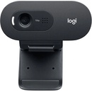 Logitech C505 HD Webcam
