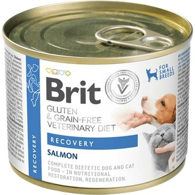 Brit VD Dog+Cat GF Recovery 200 g