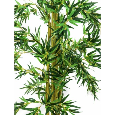 Bambus multi kmen 150 cm