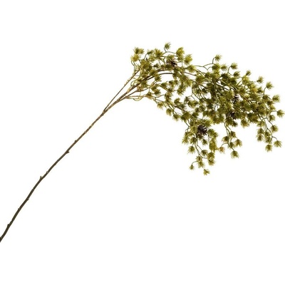 KONÁR CEDER, ŠIŠKY 95CM