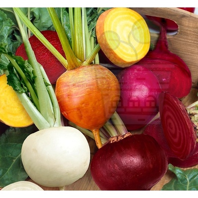 Семена от цвекло "Микс от три вида" (Trio mixed) 300 бр (024400)