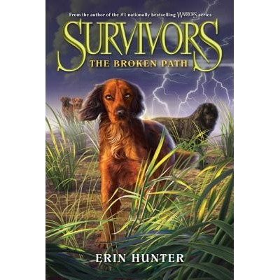 Survivors #4: The Broken Path Hunter ErinPaperback