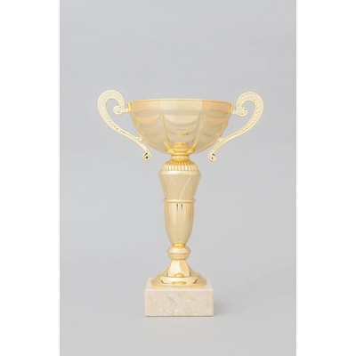 Zlatý sportovní pohár 20 29 cm 26 cm