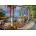 Anatolian - Puzzle Kim: Wisteria Terrace - 500 piese