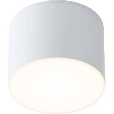 Shilo 7075 - Лампа SUWA 1xGX53/15W/230V бяла (AML0056)