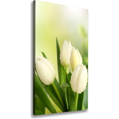 Vertikálny foto obraz na plátne Biele tulipány 50x100 cm