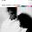 Art Blakey & Jazz Messengers - Like Someone In Love (Remastered) (LP) (0602465149647)