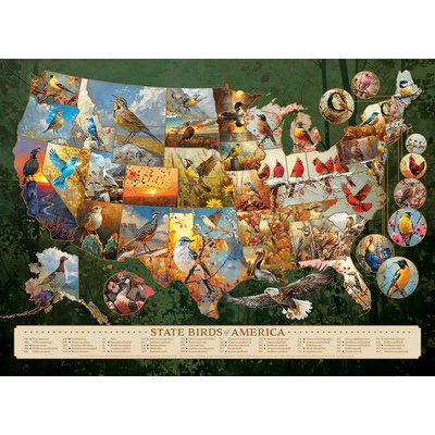 Cobble Hill - Puzzle State Birds of America - 1 000 piese