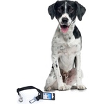 Duvo Plus Short Safety Lead - Предпазен повод /колан за кучета за автомобил 40-70см. /2см. черен