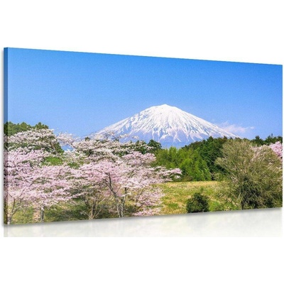 Obraz sopka Fuji - 40x30