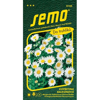 Semo Kopretina balkonová - Sněhurka 0,3g