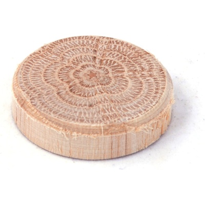 Pinie Dubové hrče (vetva) 35 × 7 mm, 1 kg 112-35001