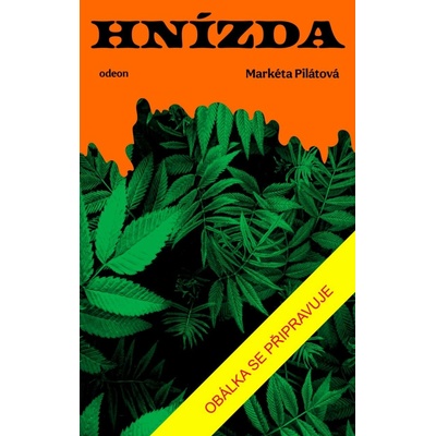 Hnízda - Pilátová Markéta