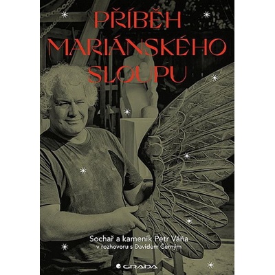 Příběh Mariánského sloupu - Černý David