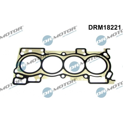 Tesnenie hlavy valcov Dr.Motor Automotive DRM18221