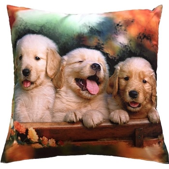 Dadka Foto vankúš Tři štěňata 40x40