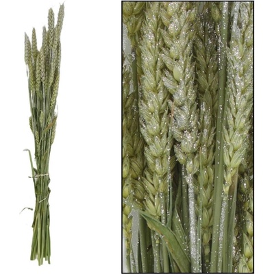 AKCIA! Triticum nature zv.SILVER 70x10x5cm