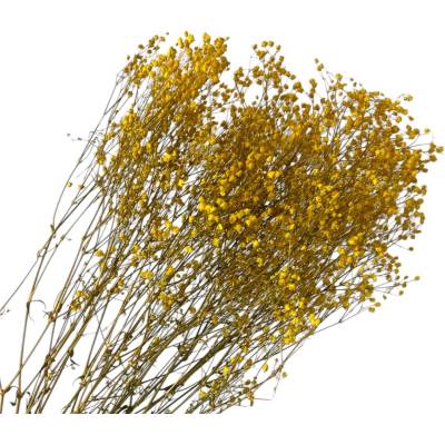 FLOWERIO Stabilizovaná Gypsophila - Nevestin závoj 90g - žltá