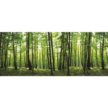 Image 1 of Фототапет флис Поглед към гората 4xl