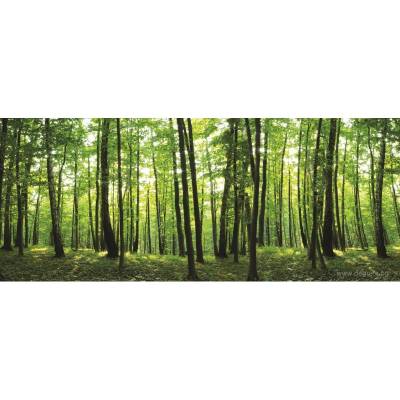 Фототапет флис Поглед към гората 4xl