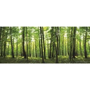  Фототапет флис Поглед към гората 4xl