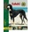 Saluki