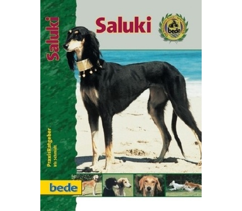 Saluki