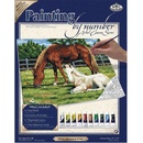 Royal Langnickel Malování podle čísel Koně